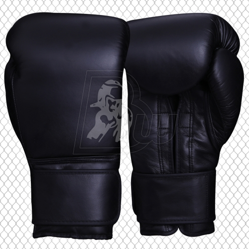 Training / Sparring Gloves
