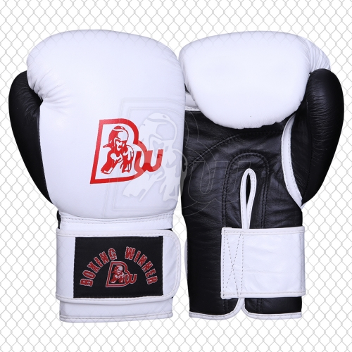 Training / Sparring Gloves