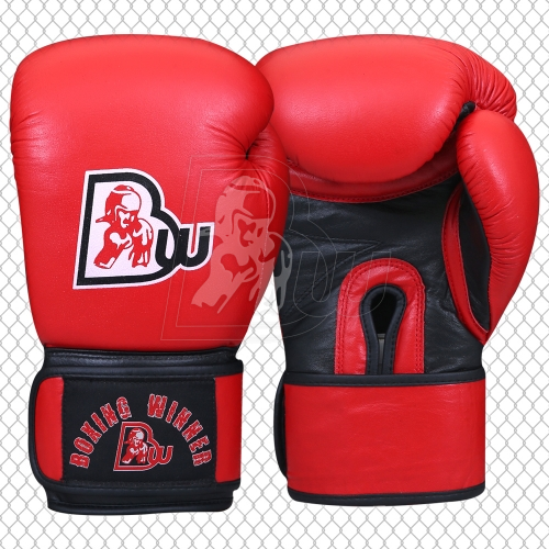 Training / Sparring Gloves
