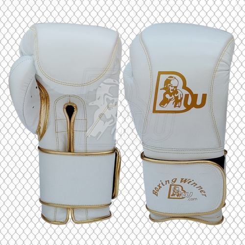 Training / Sparring Gloves