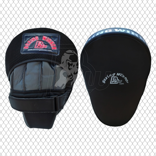 Focus Pad/Punch Mitt.