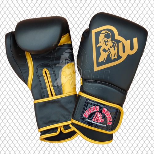 Training / Sparring Gloves