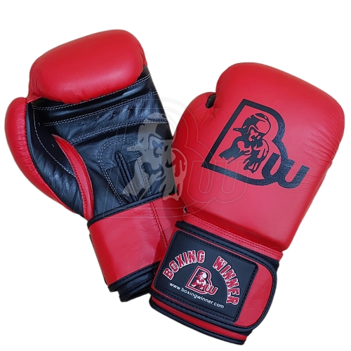 Training / Sparring Gloves
