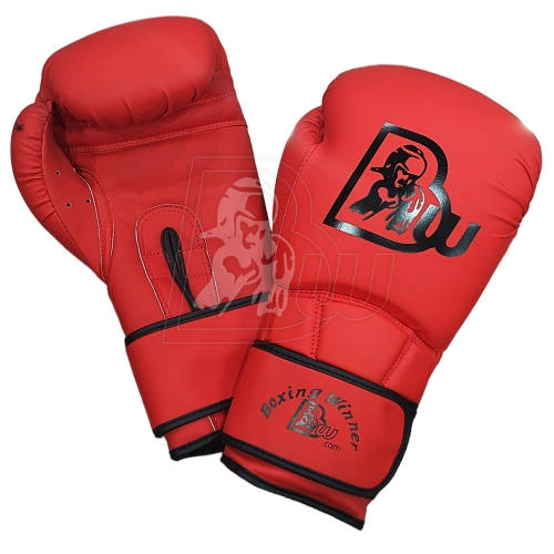 Training / Sparring Gloves