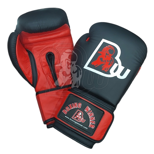 Training / Sparring Gloves