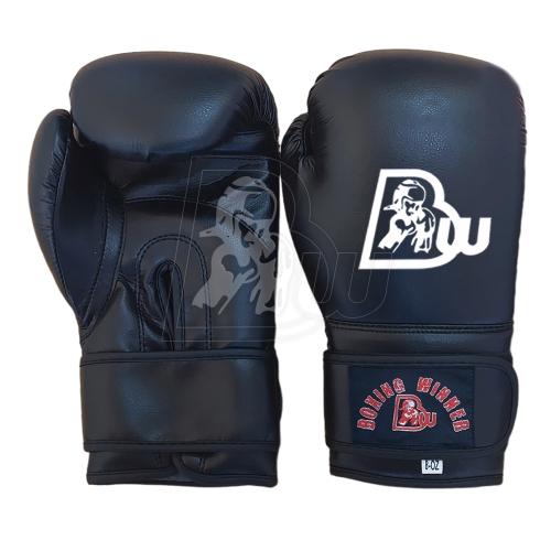 Training / Sparring Gloves