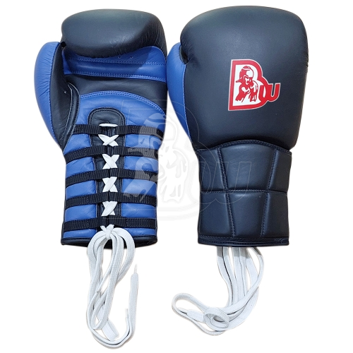 Training/Sparring Gloves