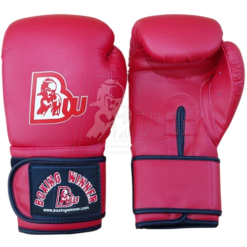 Training/Sparring Gloves