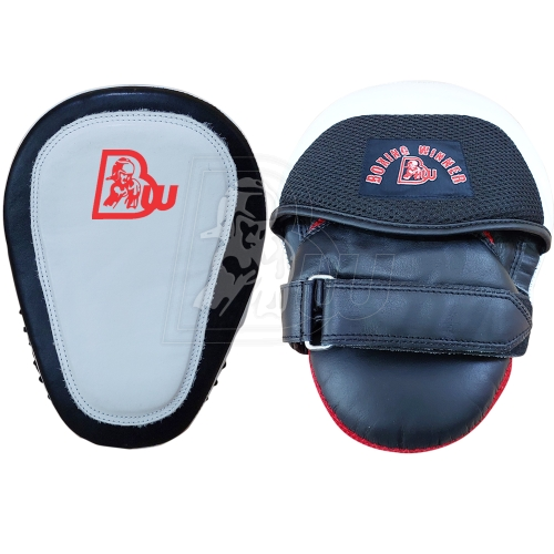 Focus/Punch Mitts