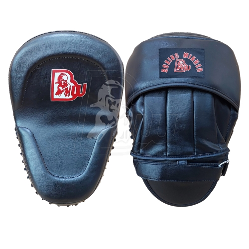 Focus/Punch Mitts