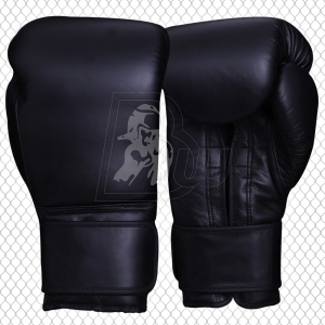 Training / Sparring Gloves