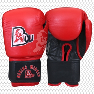 Training / Sparring Gloves