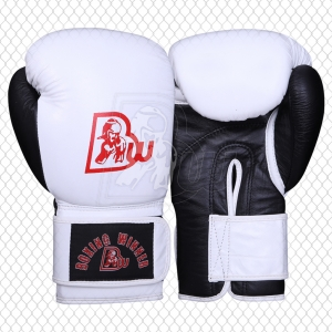 Training / Sparring Gloves-BW-2249
