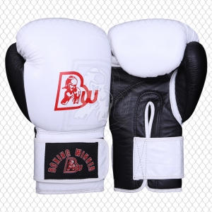 Training / Sparring Gloves