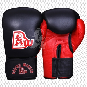 Training / Sparring Gloves