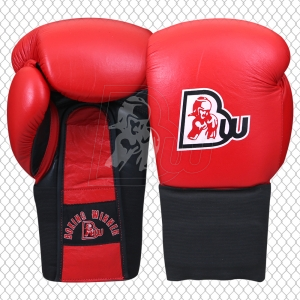 Training / Sparring Gloves
