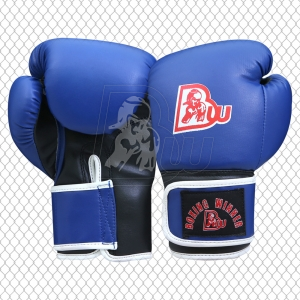 Training / Sparring Gloves
