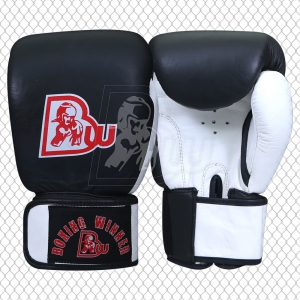 Training / Sparring Gloves