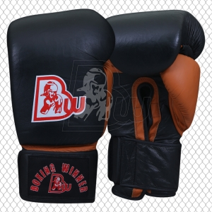 Training / Sparring Gloves