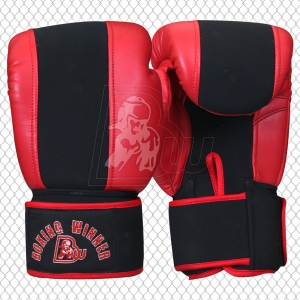 Training / Sparring Gloves
