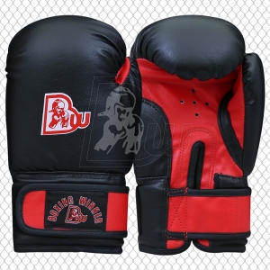 Training / Sparring Gloves