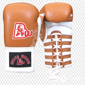 Training / Sparring Gloves