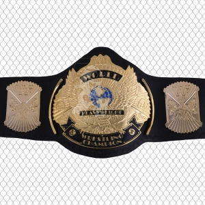 Championship Belts-BW:2027