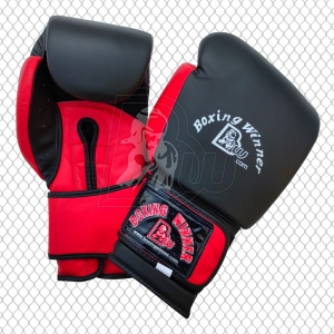 Training / Sparring Gloves-BW-2291