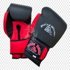 Training / Sparring Gloves