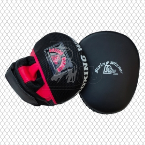 Focus Pad/Punch Mitt.