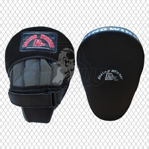 Focus Pad/Punch Mitt.