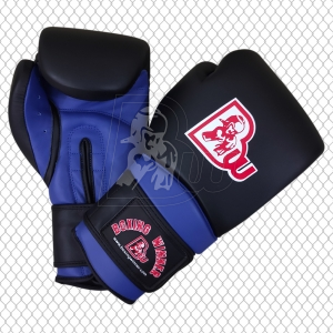 Training / Sparring Gloves-BW-2295