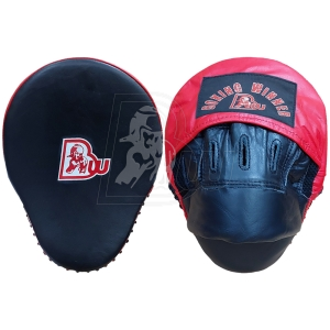 Coach/Training Pads
