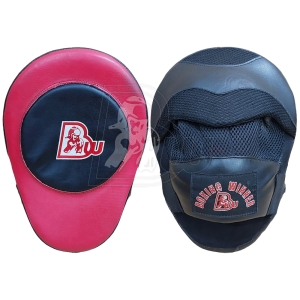 Coach/Training Pads