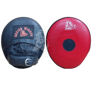 Coach/Training Pads