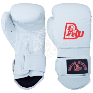 Training/Sparring Gloves